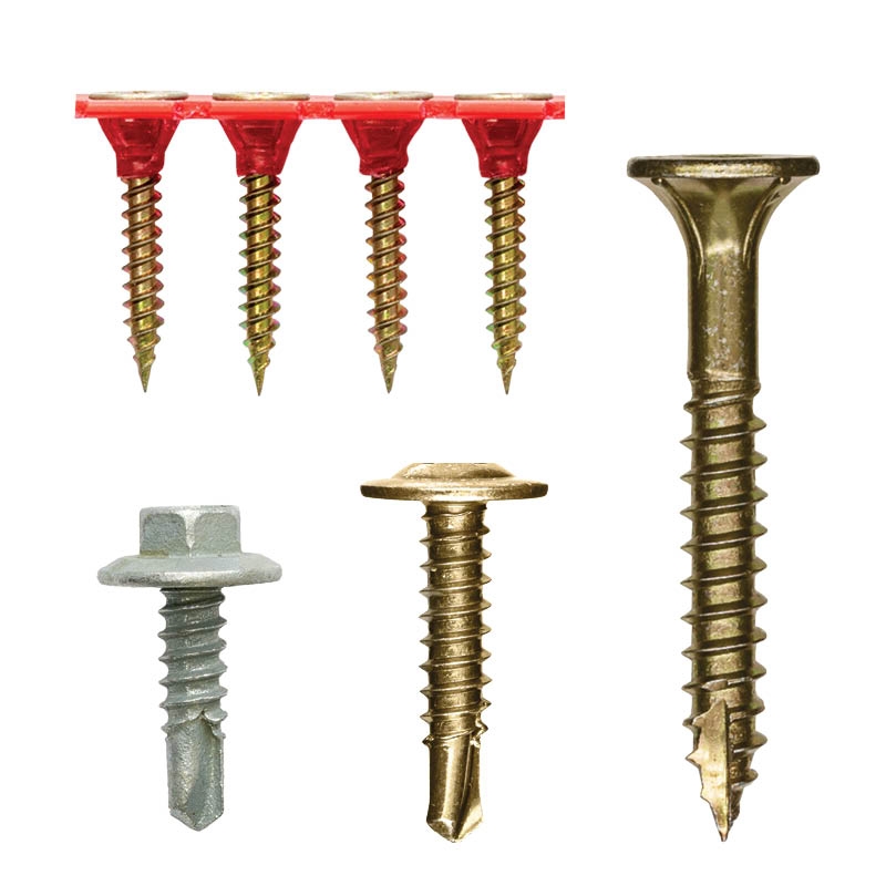 Screws - Zinc Coated Steel