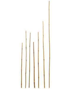 Bamboo stakes for landscaping