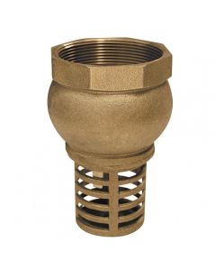 Brass foot valve 4"