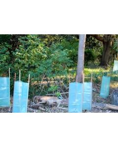 GEOmasta Plastic Sleeve Tree Guards