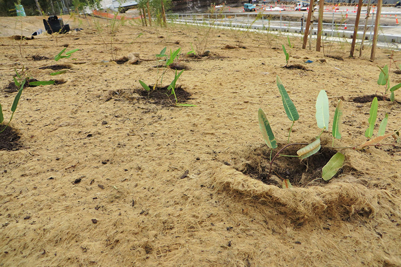 How to install jute mat Jaybro Blog